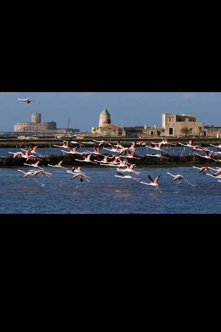 Casa Dello Scoglio Nel Mare Appartement Paceco Italië