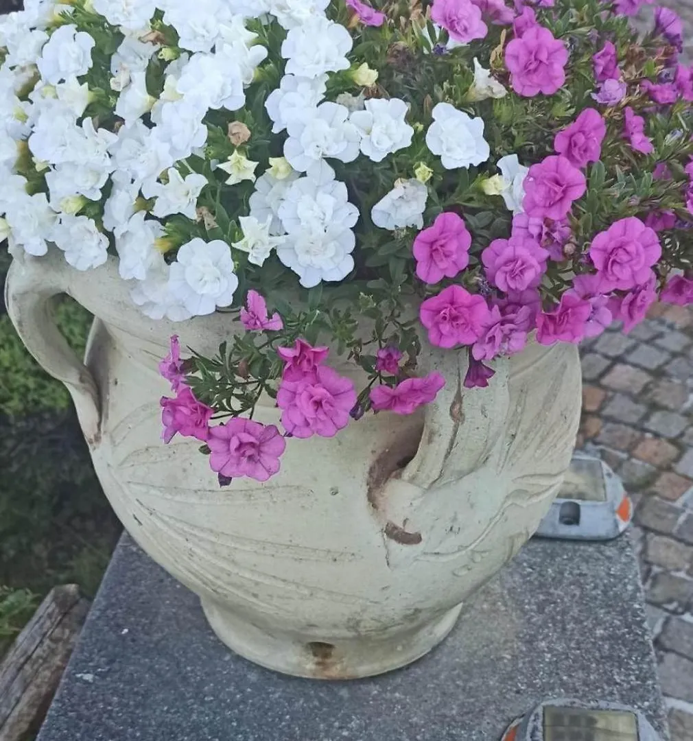 Casa Dello Scoglio Nel Mare Apartment Paceco Italy